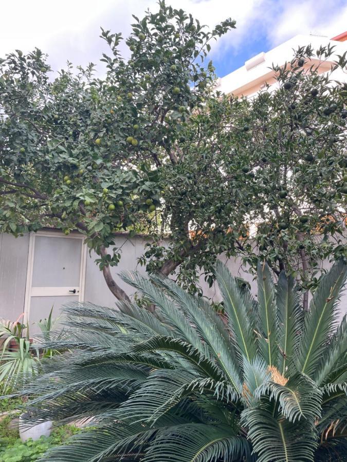 Tangerine Tree House Apartman Cagliari Kültér fotó