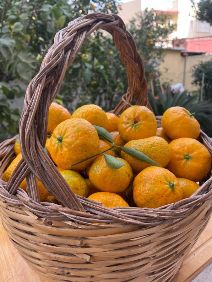 Tangerine Tree House Apartman Cagliari Kültér fotó