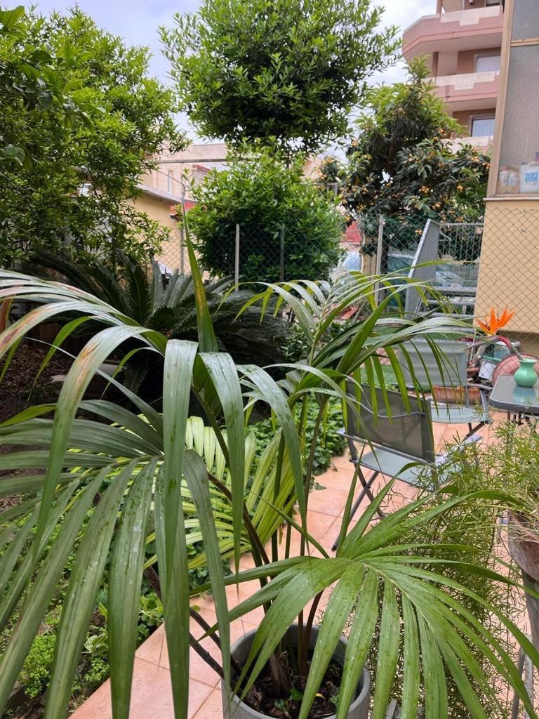 Tangerine Tree House Apartman Cagliari Kültér fotó